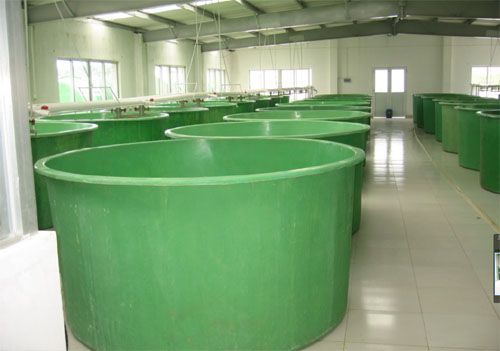 養(yǎng)殖槽 養(yǎng)殖槽