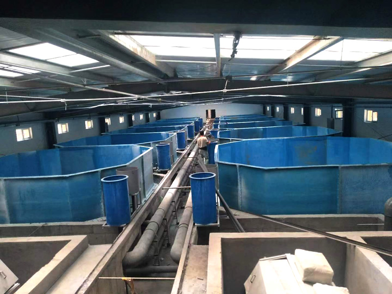 玻璃鋼魚(yú)槽